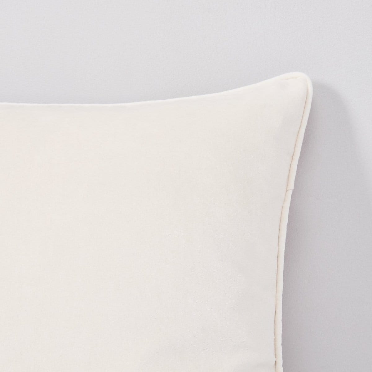 Terran Velvet Decorative Pillow Covers