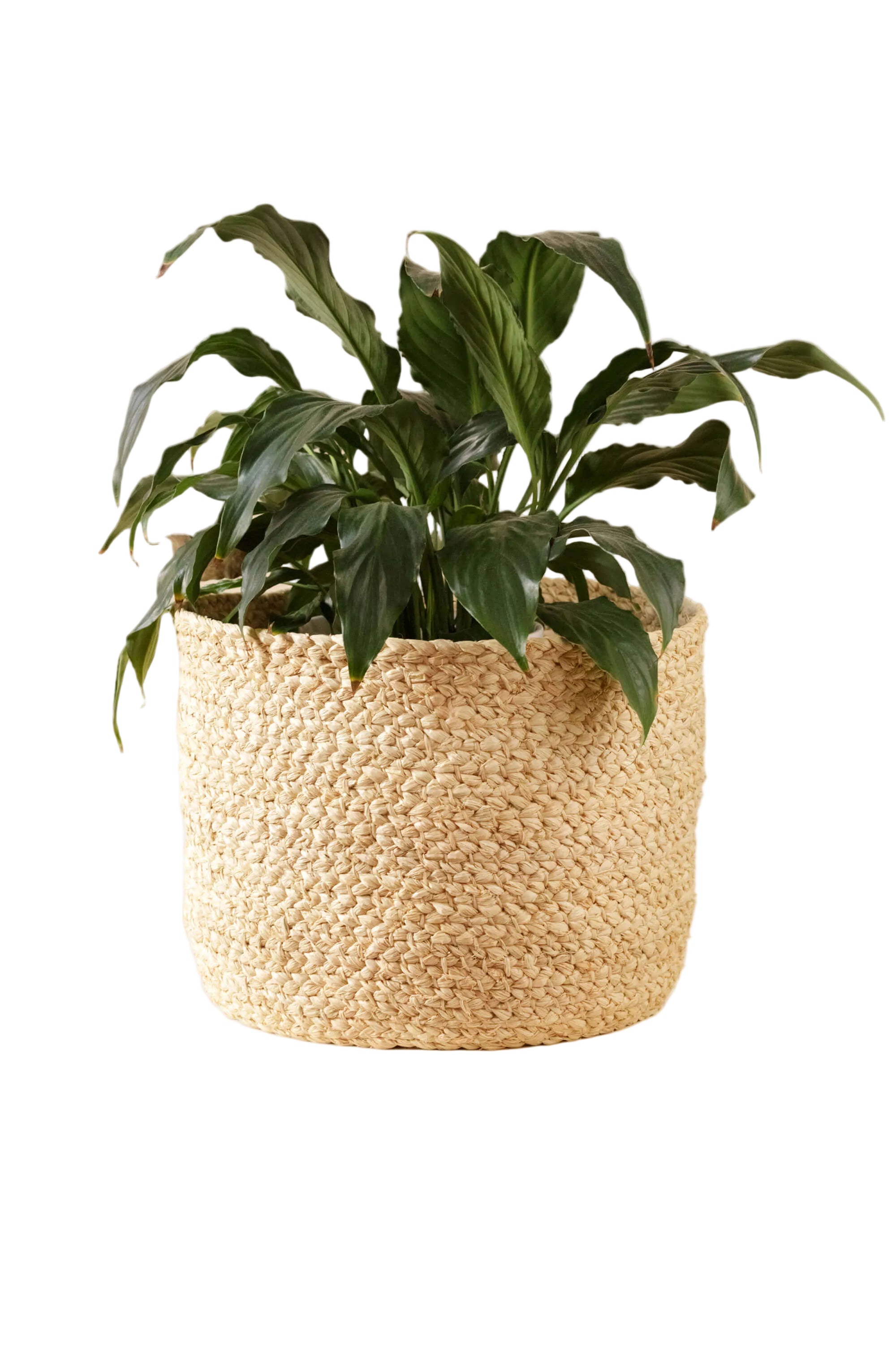 Braided Raffia Planter