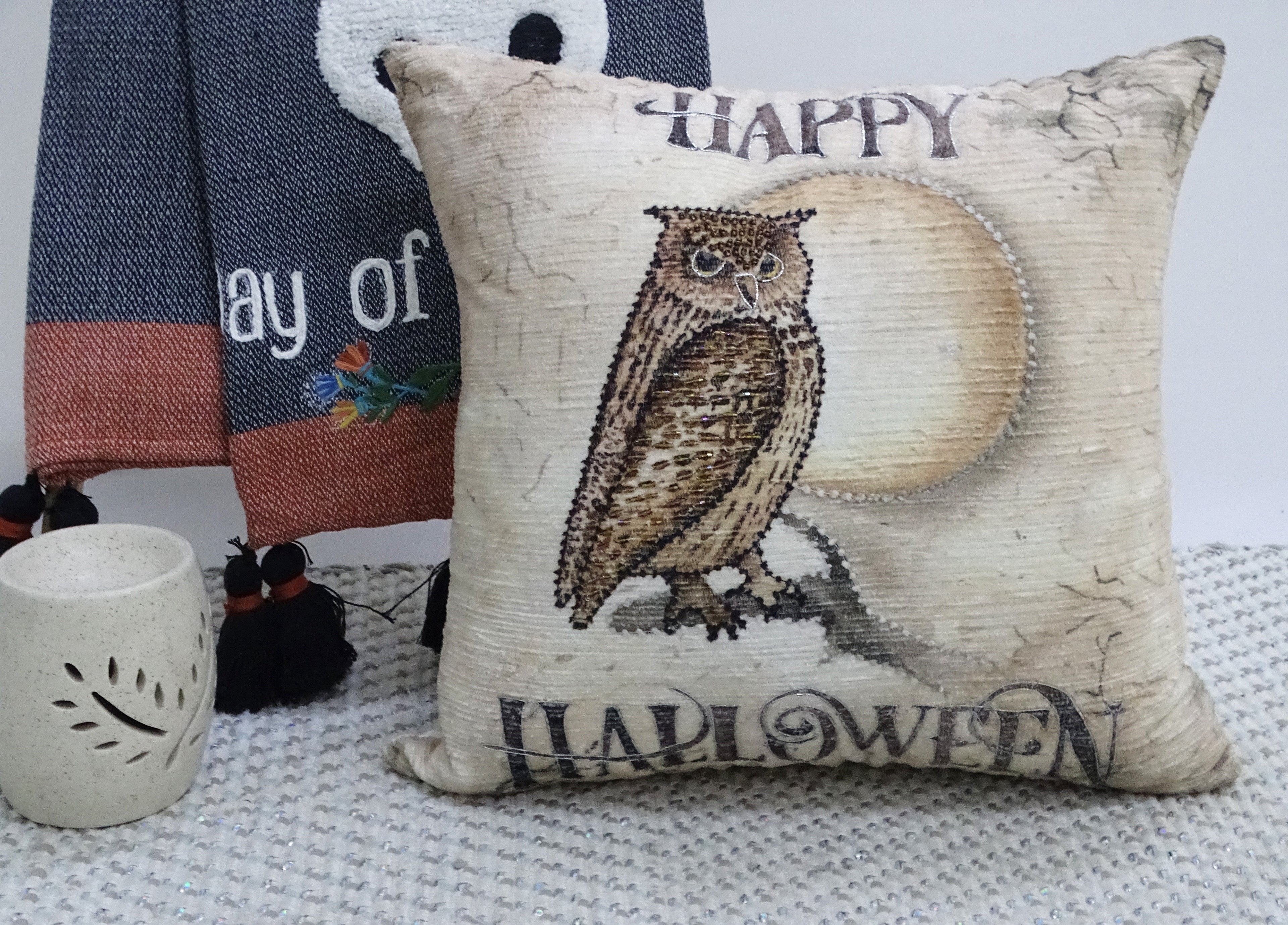 Owl Moon Throw Pillow - 20" x 20"