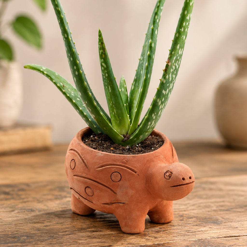 Rakshana Turtle Plant Pot - Terracotta
