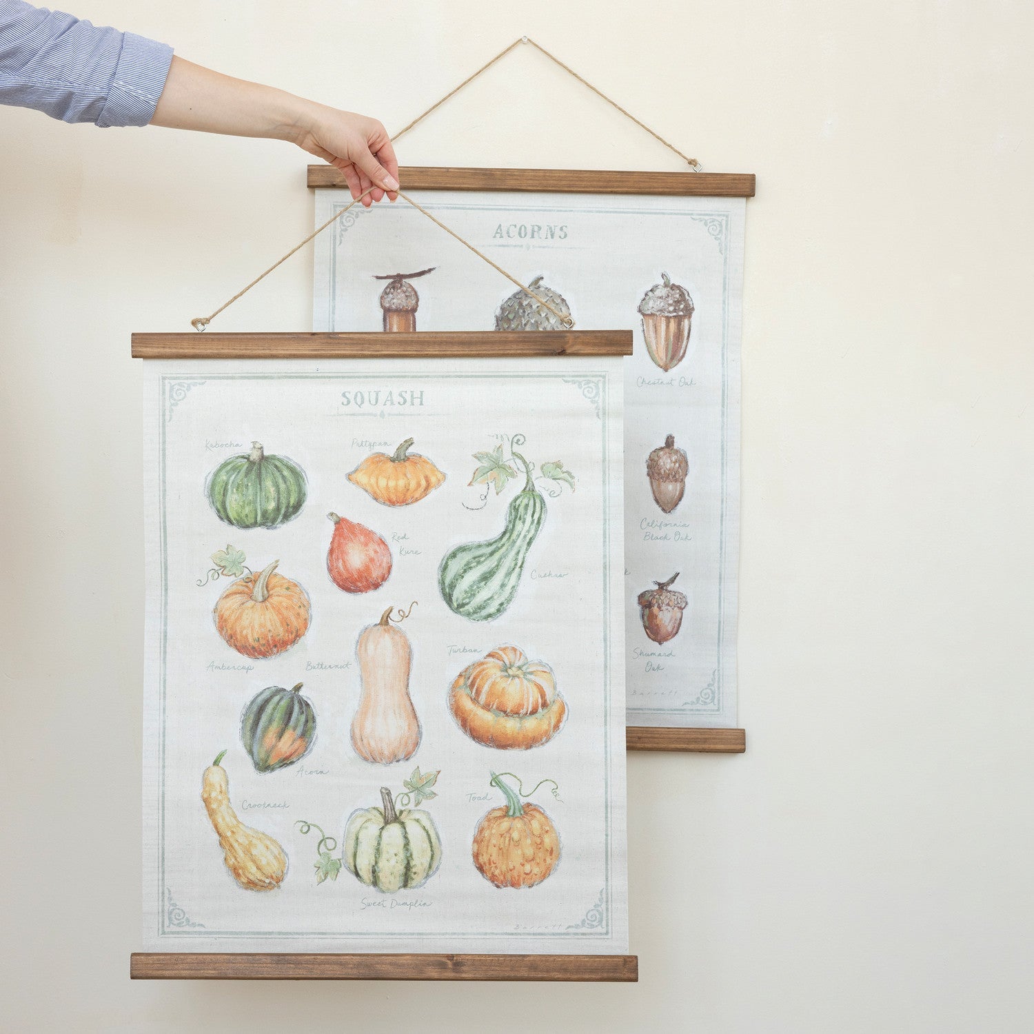 Squash and Acorn Botanical Print Wall Hanger