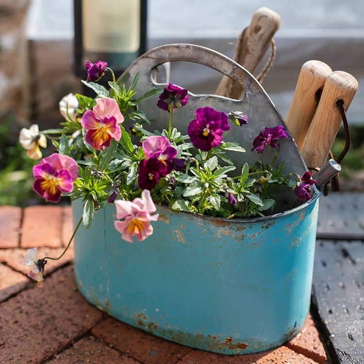 Blue Metal Basket Tool Organizer/Flower Planter