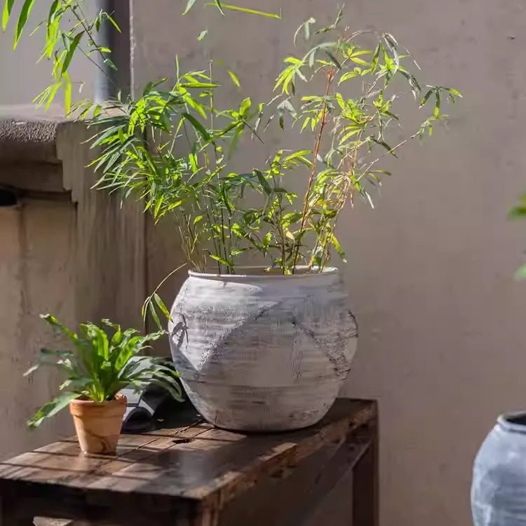 Sierra Round Clay Pot Planters