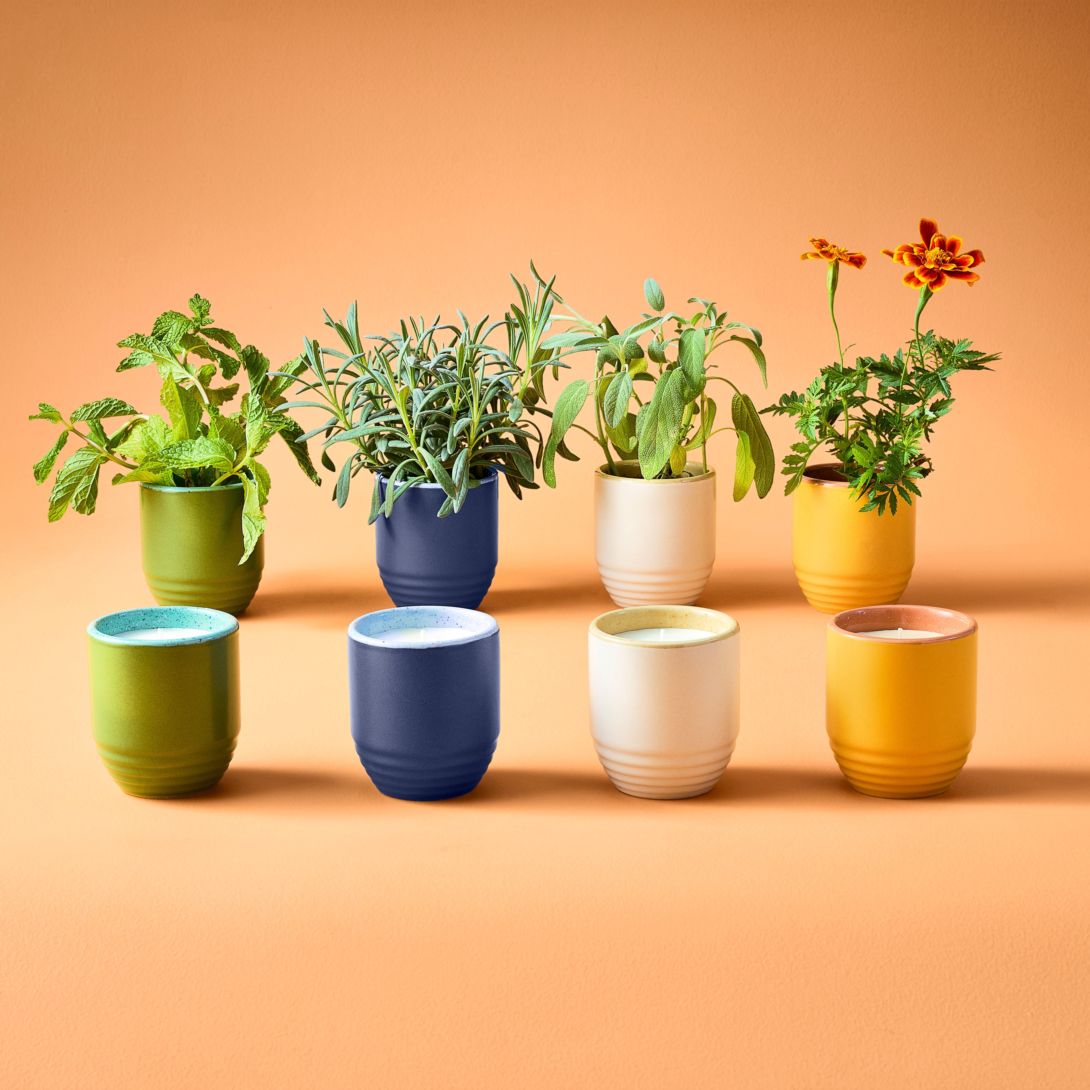Garden Vibes Candle/Planter 2-in-1