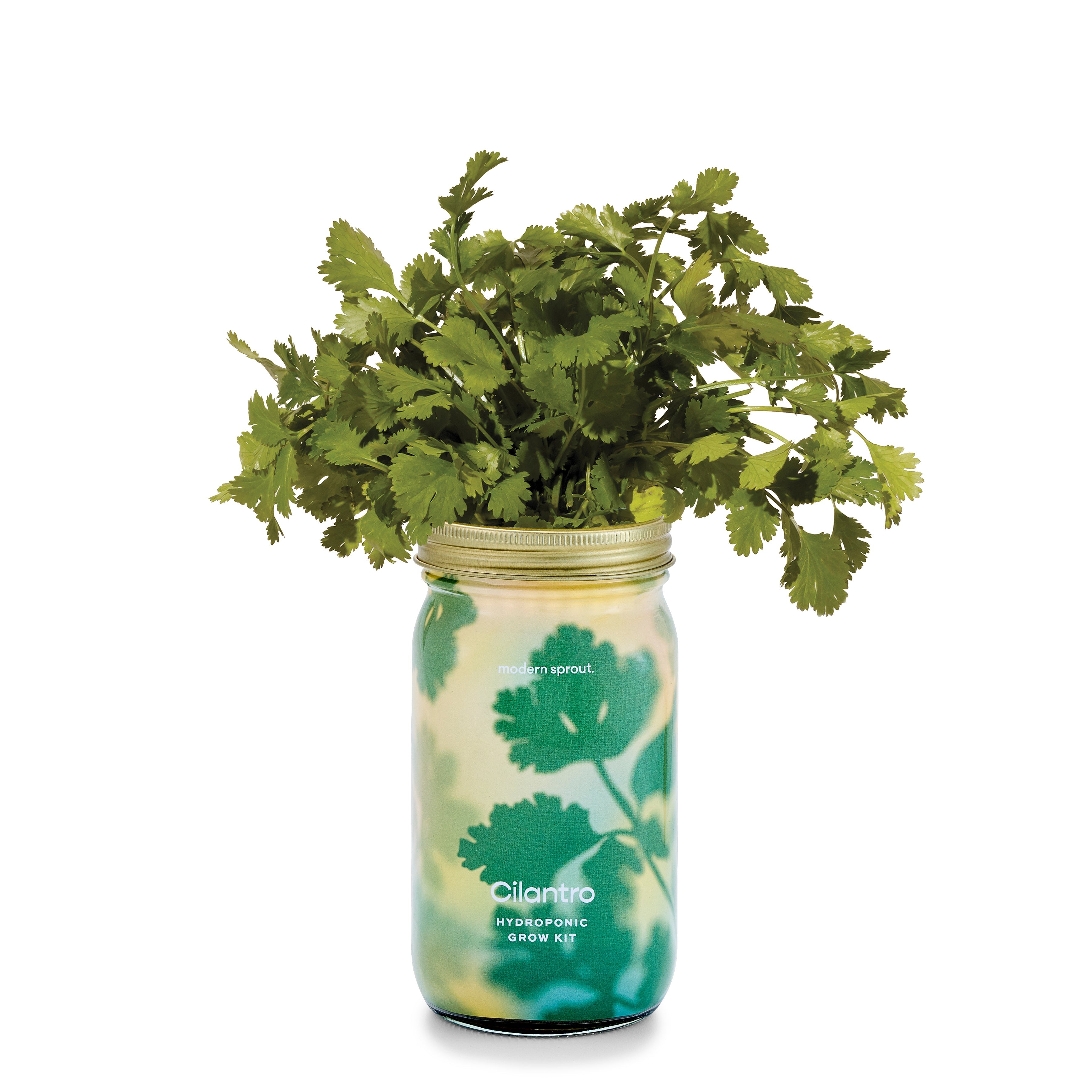 Organic Herb Jars