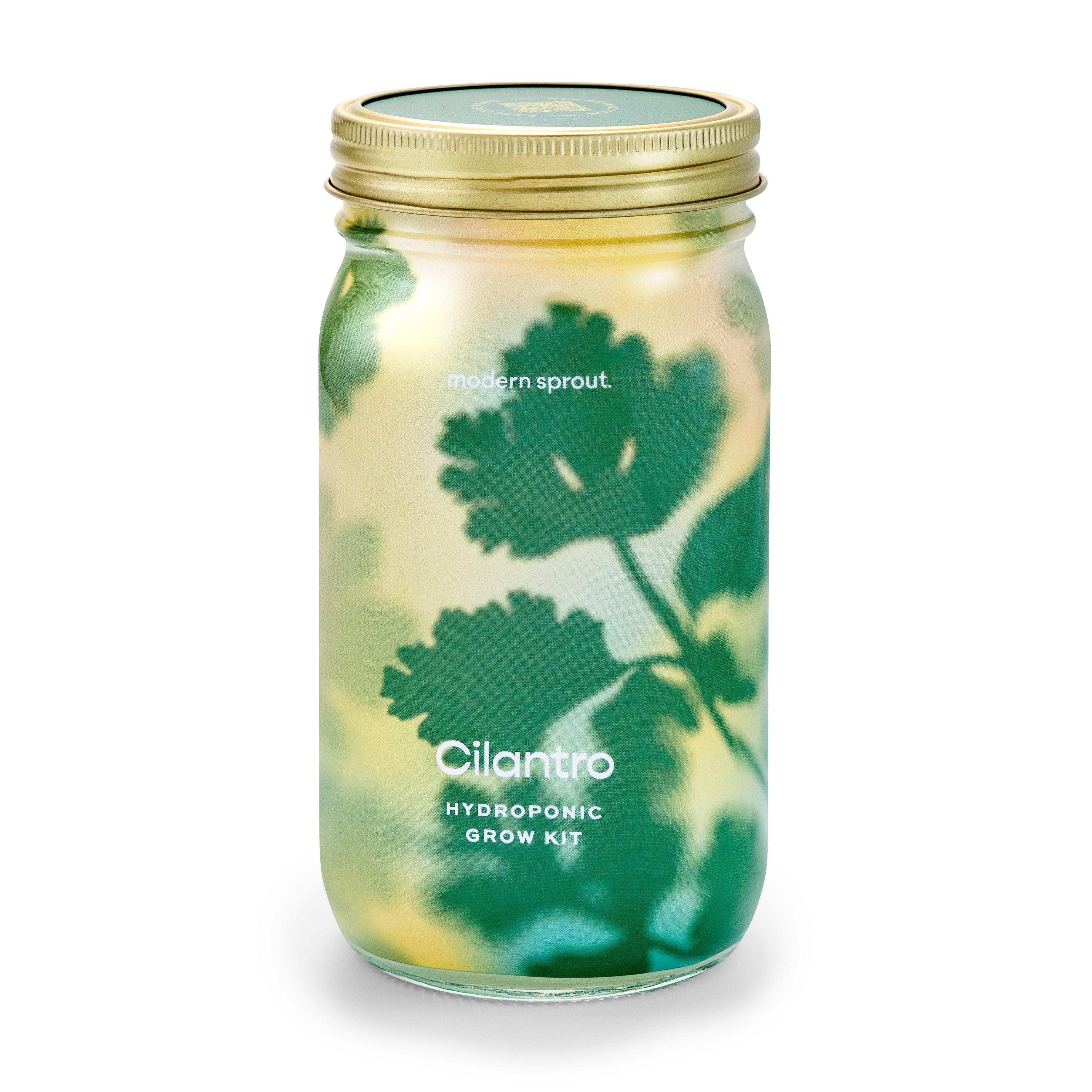 Organic Herb Jars