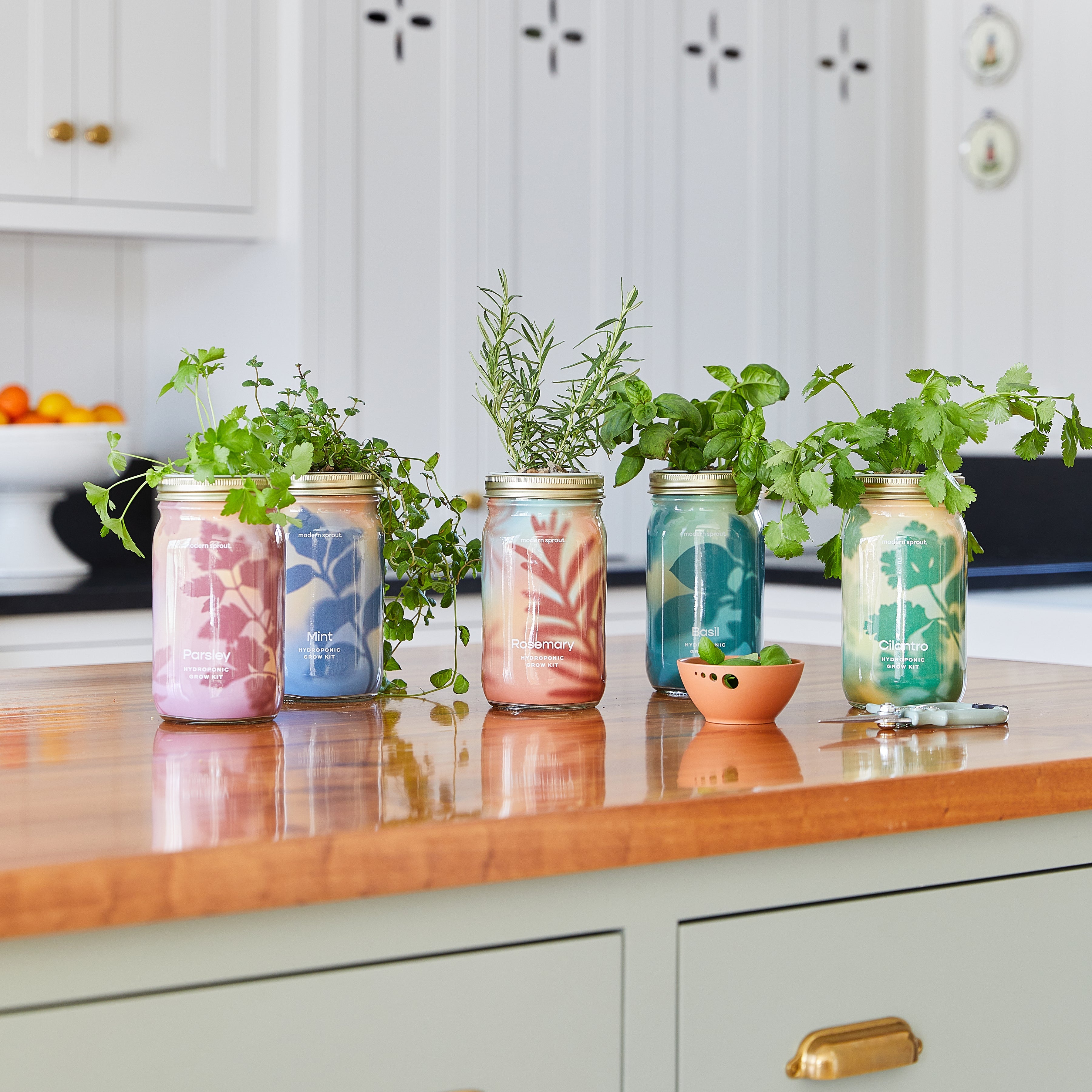 Organic Herb Jars