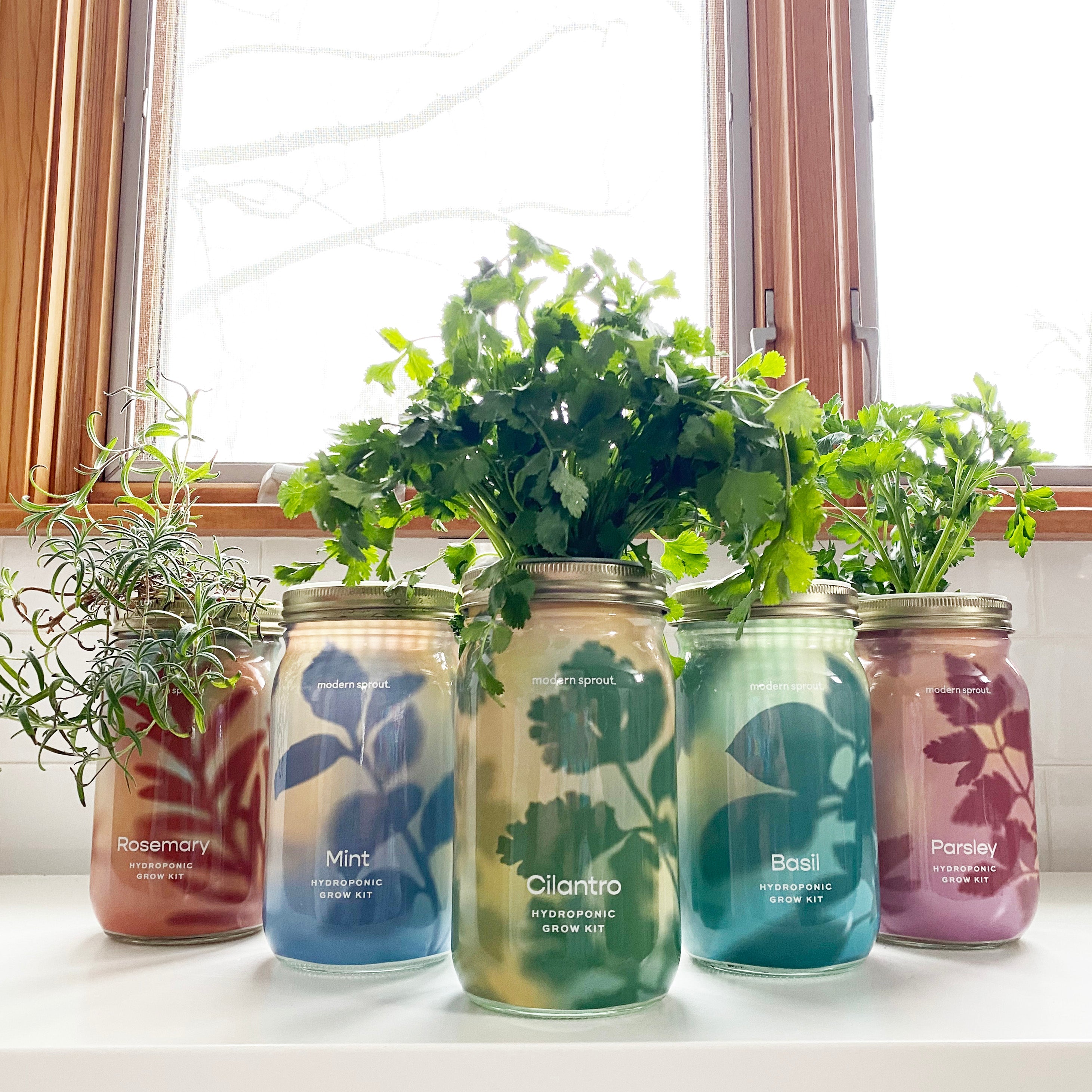 Organic Herb Jars