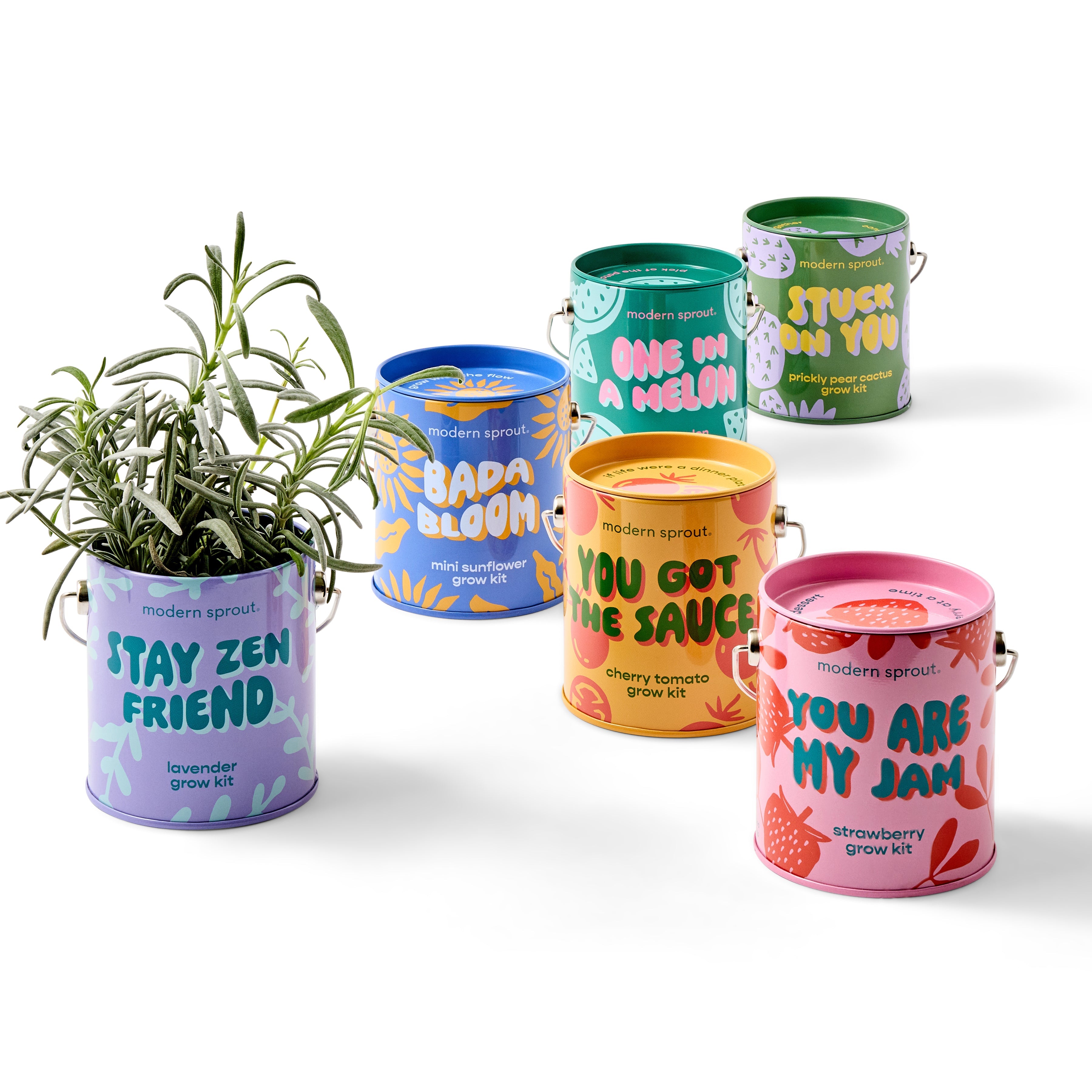 Playful Colors Grow Kits