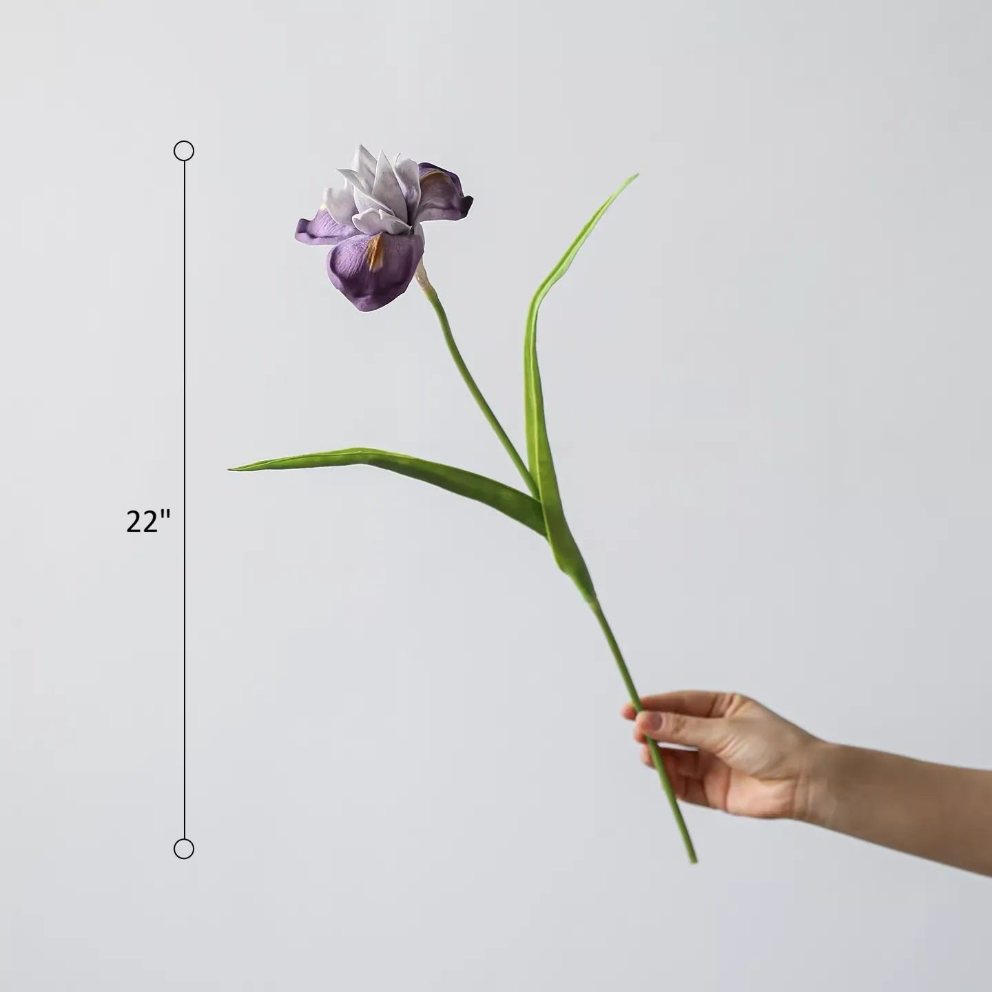 Purple Iris Stem - 22"
