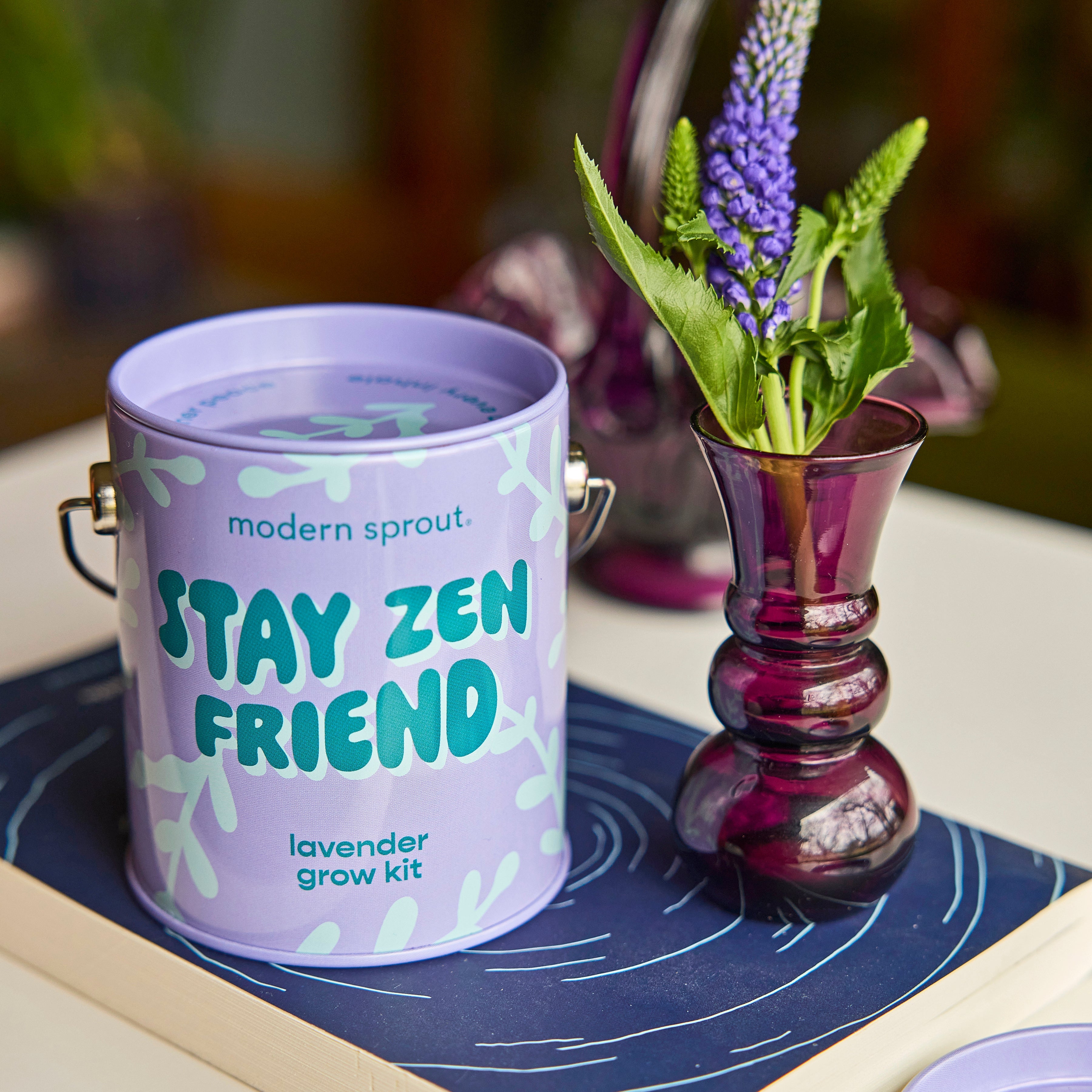 Playful Colors Grow Kits