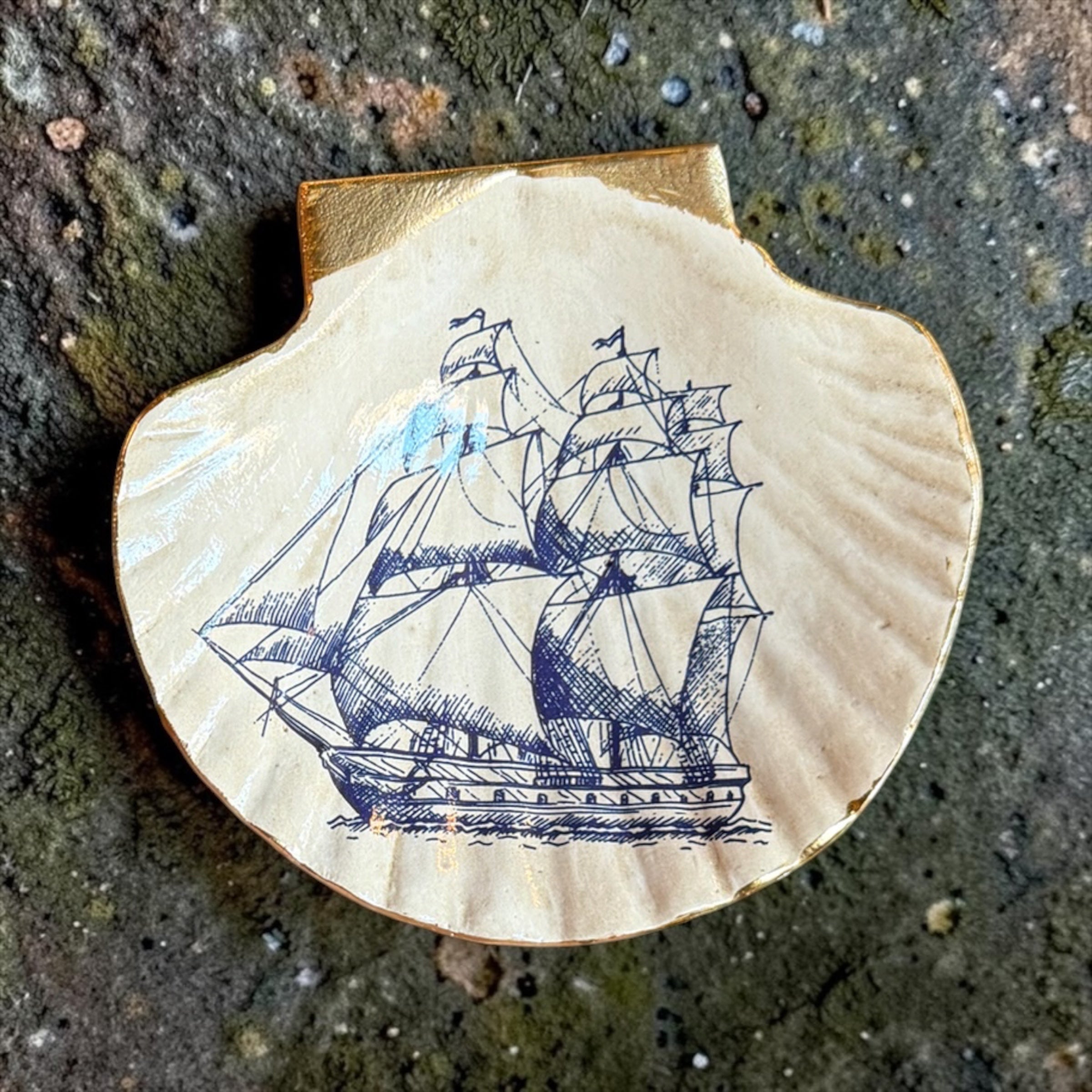 Blue & White Sea Life Shell Trinket Dish