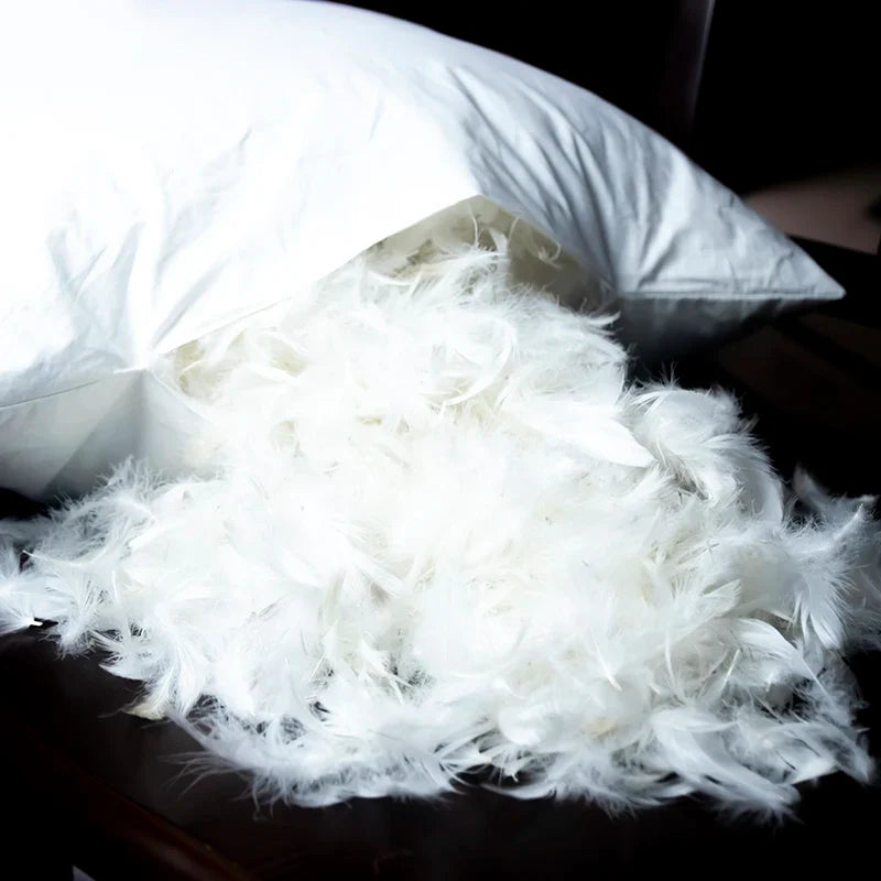 100% Cotton Goose Down Pillows - Multiple Sizes