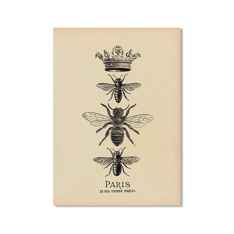 Vintage French Country Wall Art