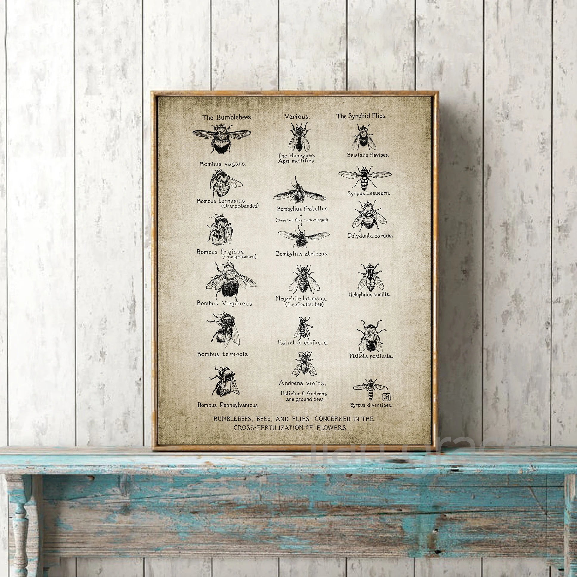 Vintage French Country Wall Art