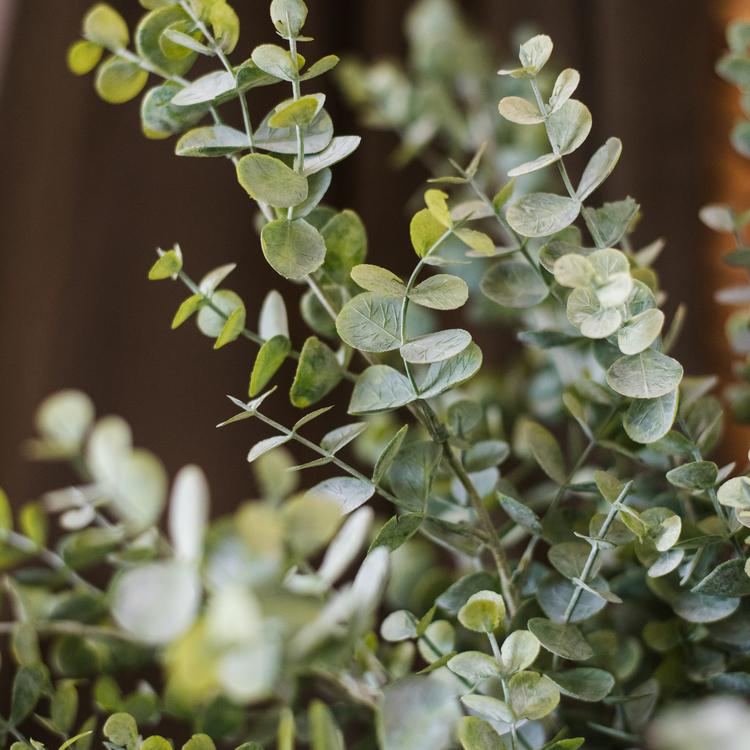 Artificial Faux Plant Eucalyptus Stem Green - 26"