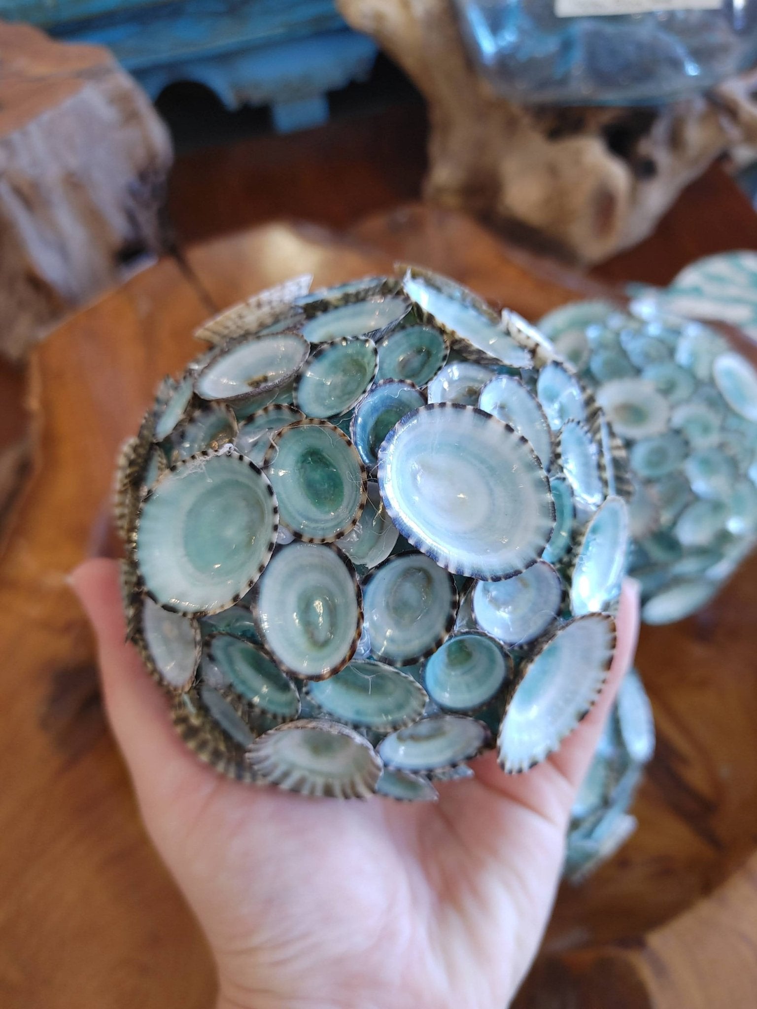 Handmade Blue-Green Limpet Sphere Balls