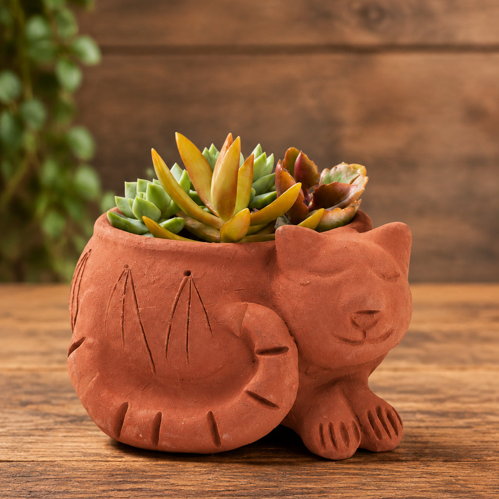 Rakshana Cat Plant Pot - Terracotta
