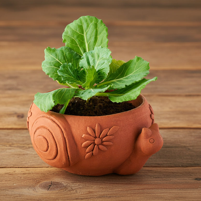 Rakshana Snail Plant Pot - Terracotta