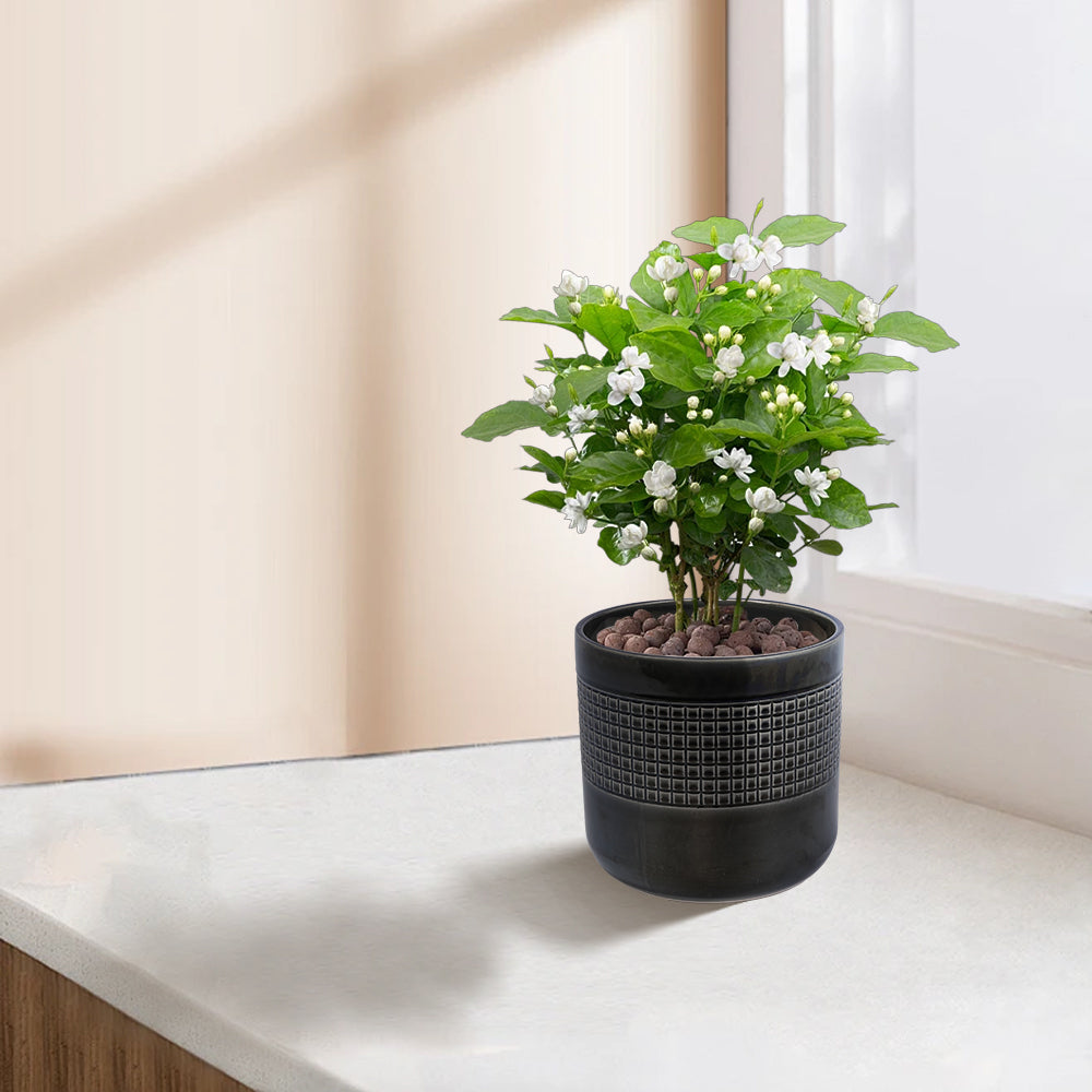 Set of 3 Black Grid Design Flower Pots