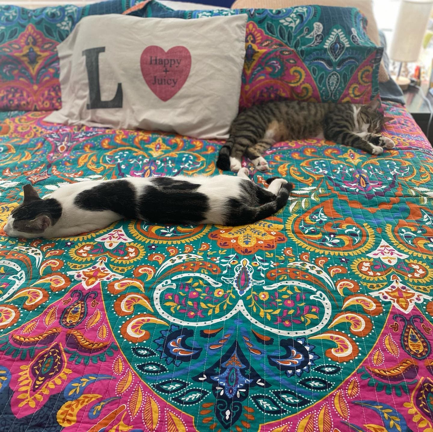 Boho Chic Reversible Quilt Sets - 2 Colors