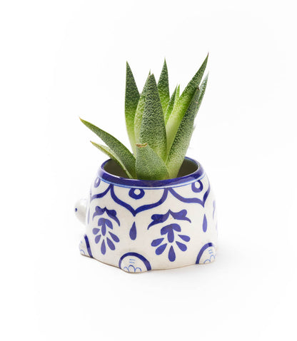 Lalita Mama Turtle Succulent Planter - White/Blue Hand Painted