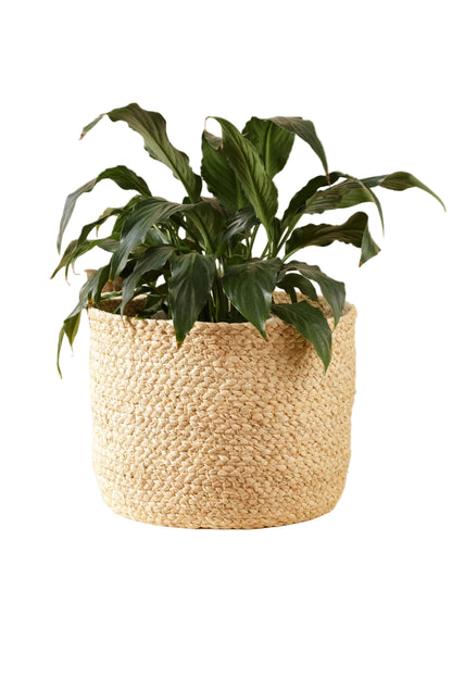 Braided Raffia Planter