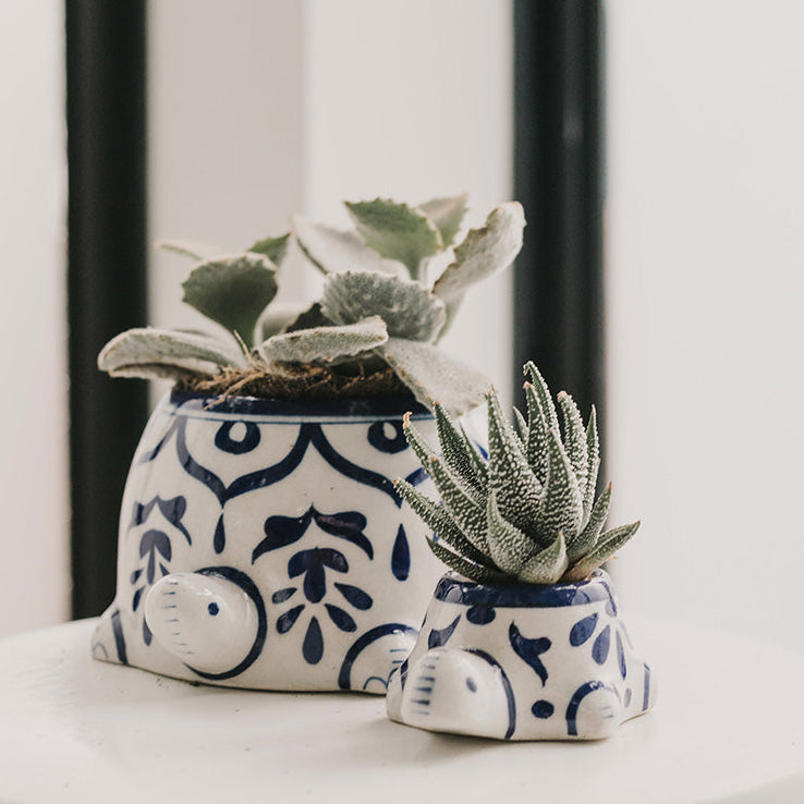 Lalita Mama Turtle Succulent Planter - White/Blue Hand Painted