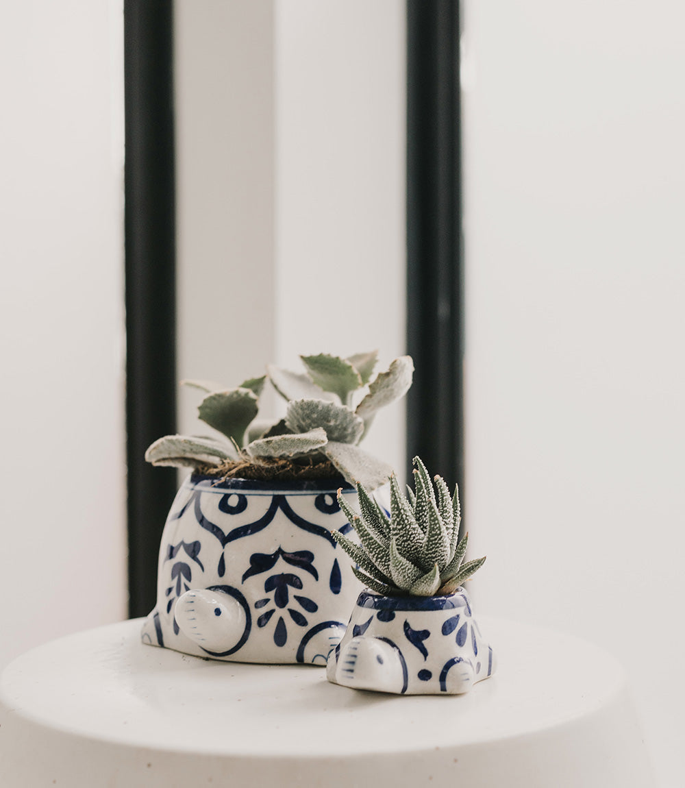 Lalita Mama Turtle Succulent Planter - White/Blue Hand Painted