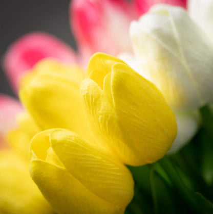 Springtime Blooming Real Touch Tulip Bush | 3 Colors