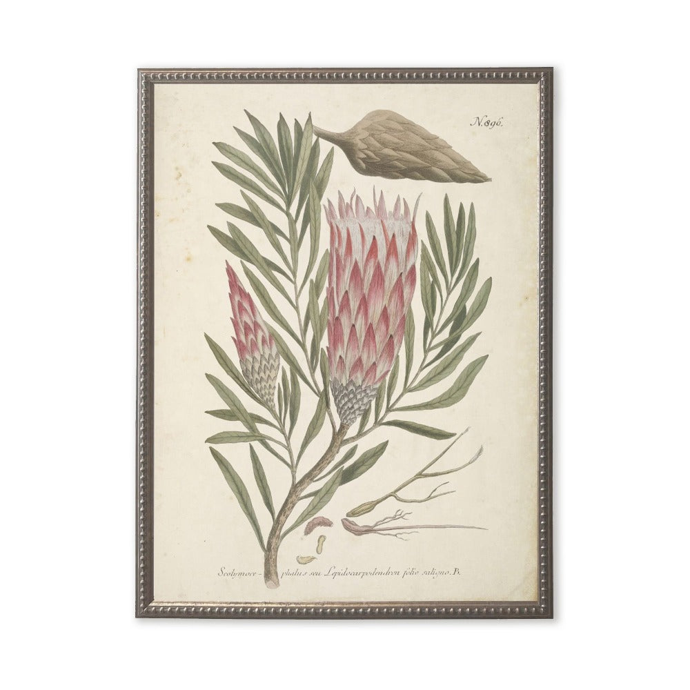 Pink Flower in Silver-Beaded Frame - 24 x 18 inch