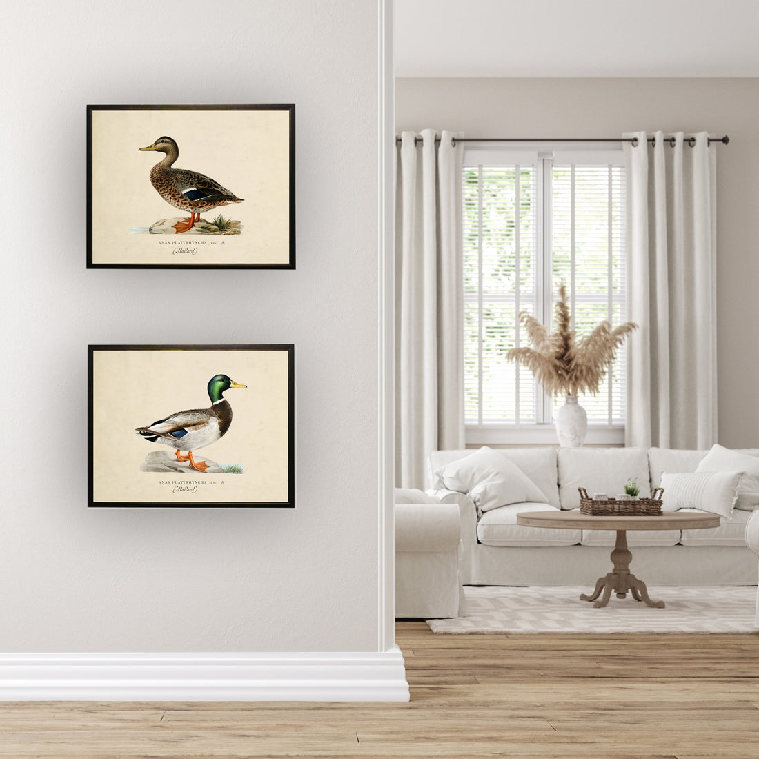 Mallard Print in Copper and Black Frame - 20 x 16 inch