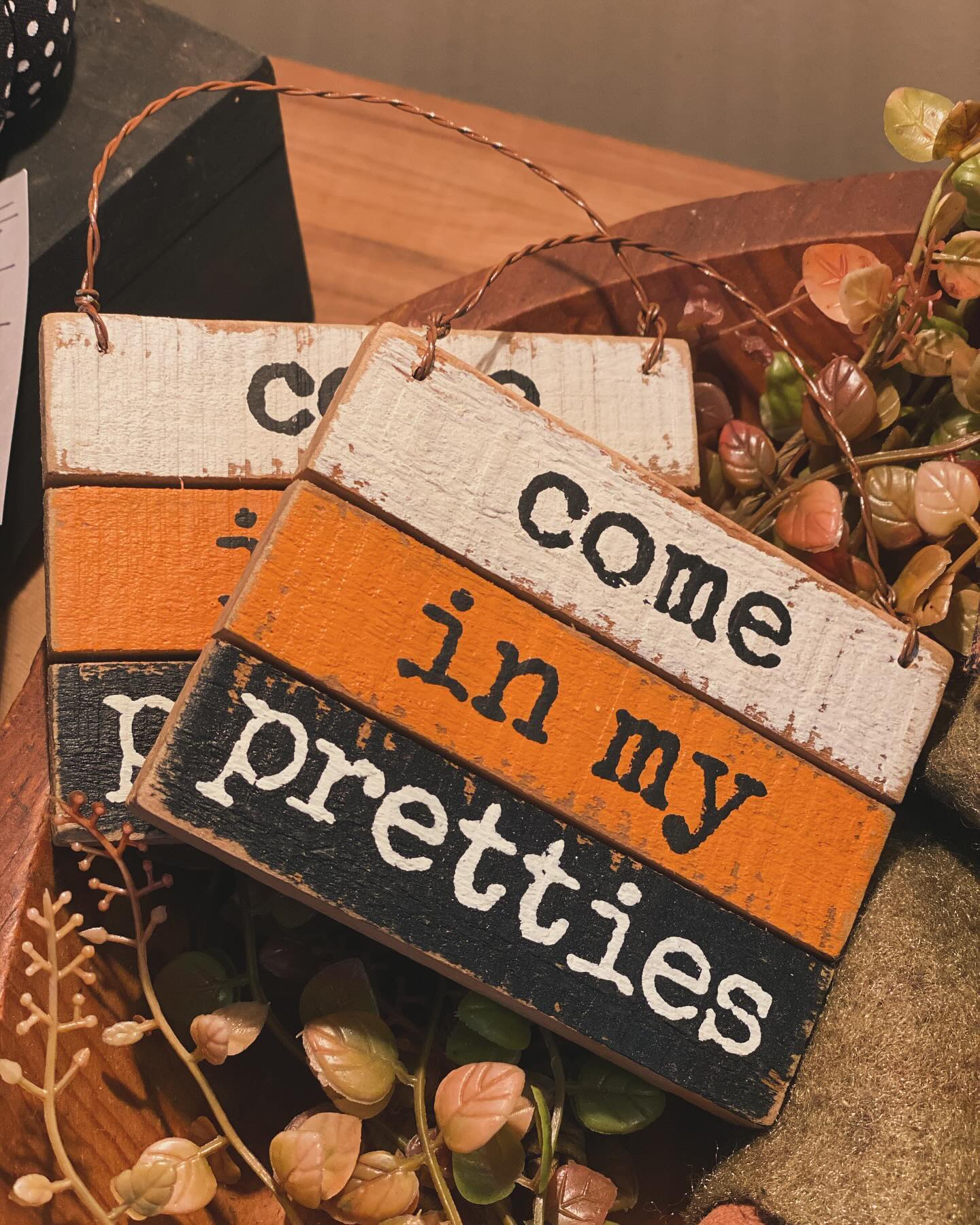 Wood Slat Ornament Sign - Come in My Pretties