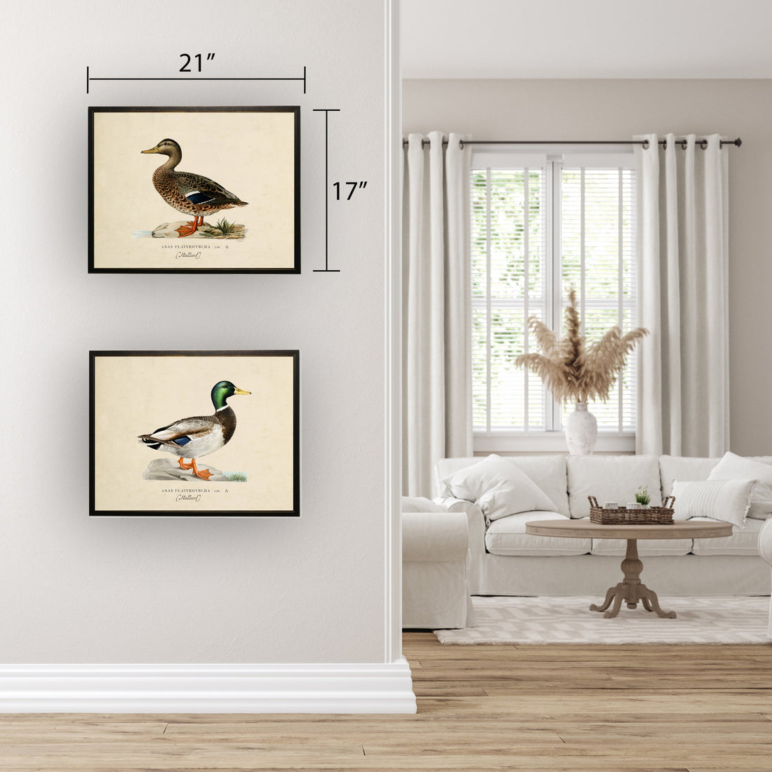 Mallard Print in Copper and Black Frame - 20 x 16 inch