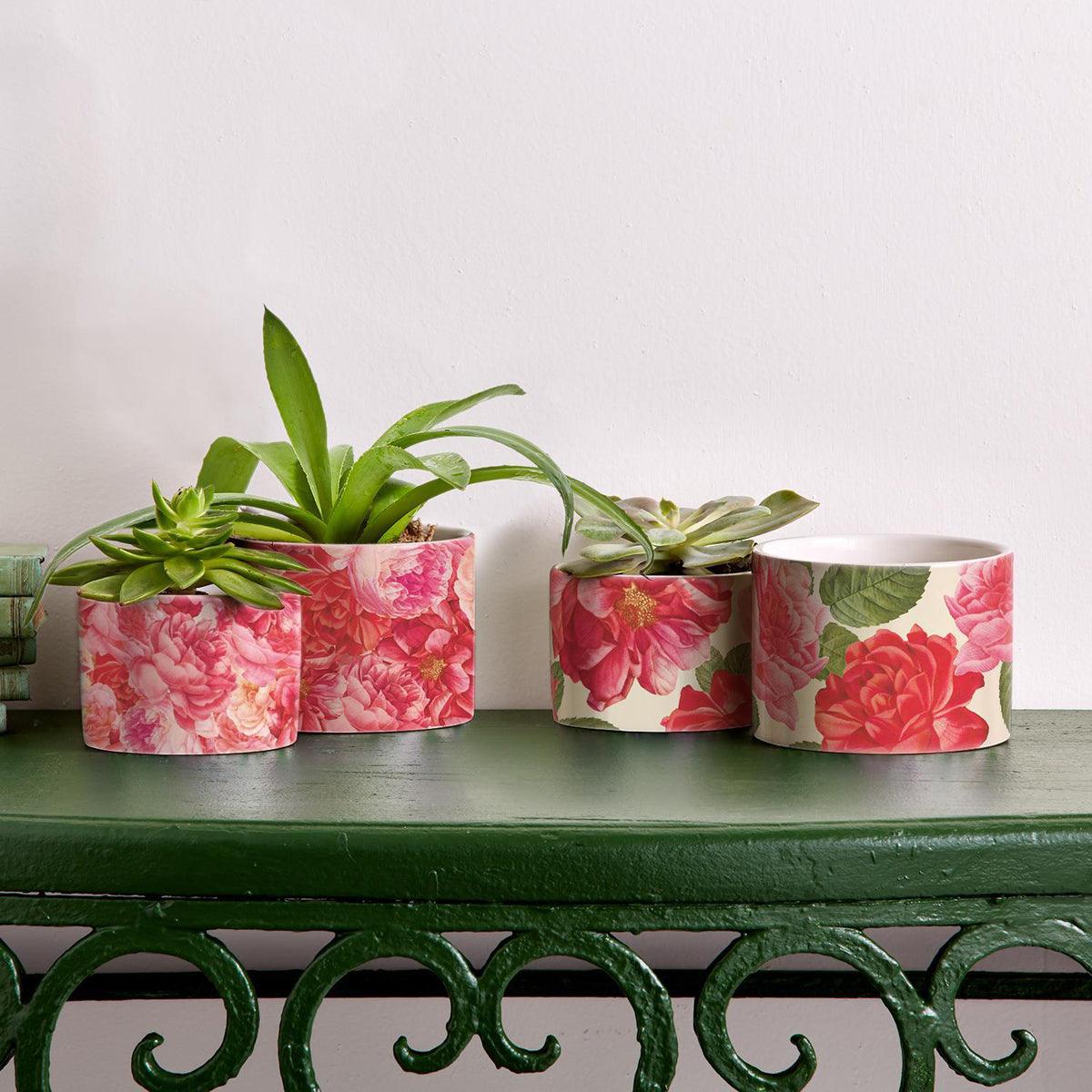Rose Marie Vases