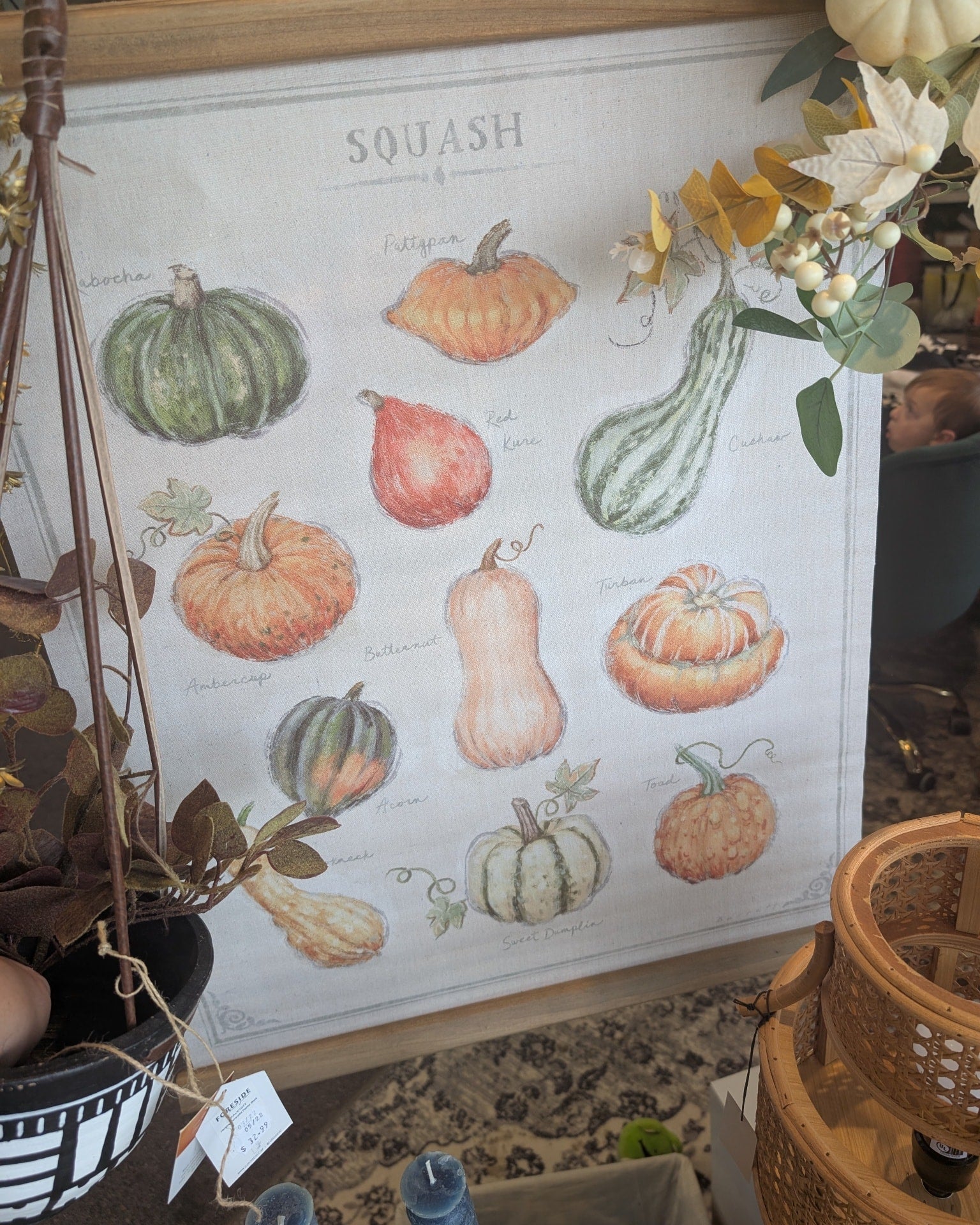 Squash and Acorn Botanical Print Wall Hanger