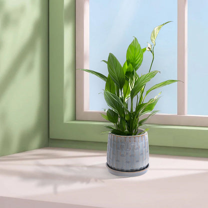 Set of 2 Ceramic Flowerpots - Gray