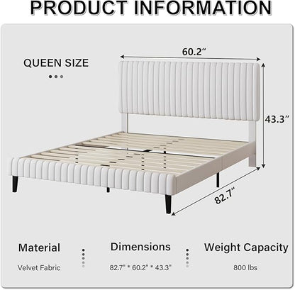 Queen Size Velvet Upholstered Platform Bed in White