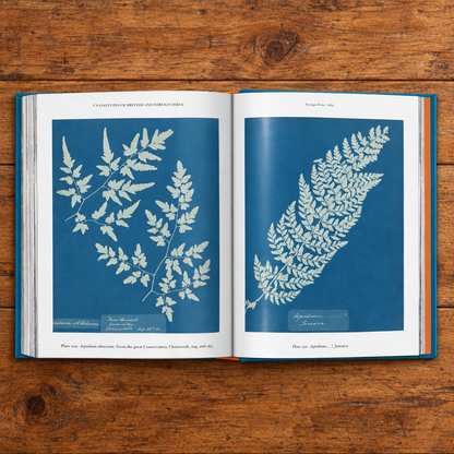 Anna Atkins. Cyanotypes. 45th Ed. (German, French, English)