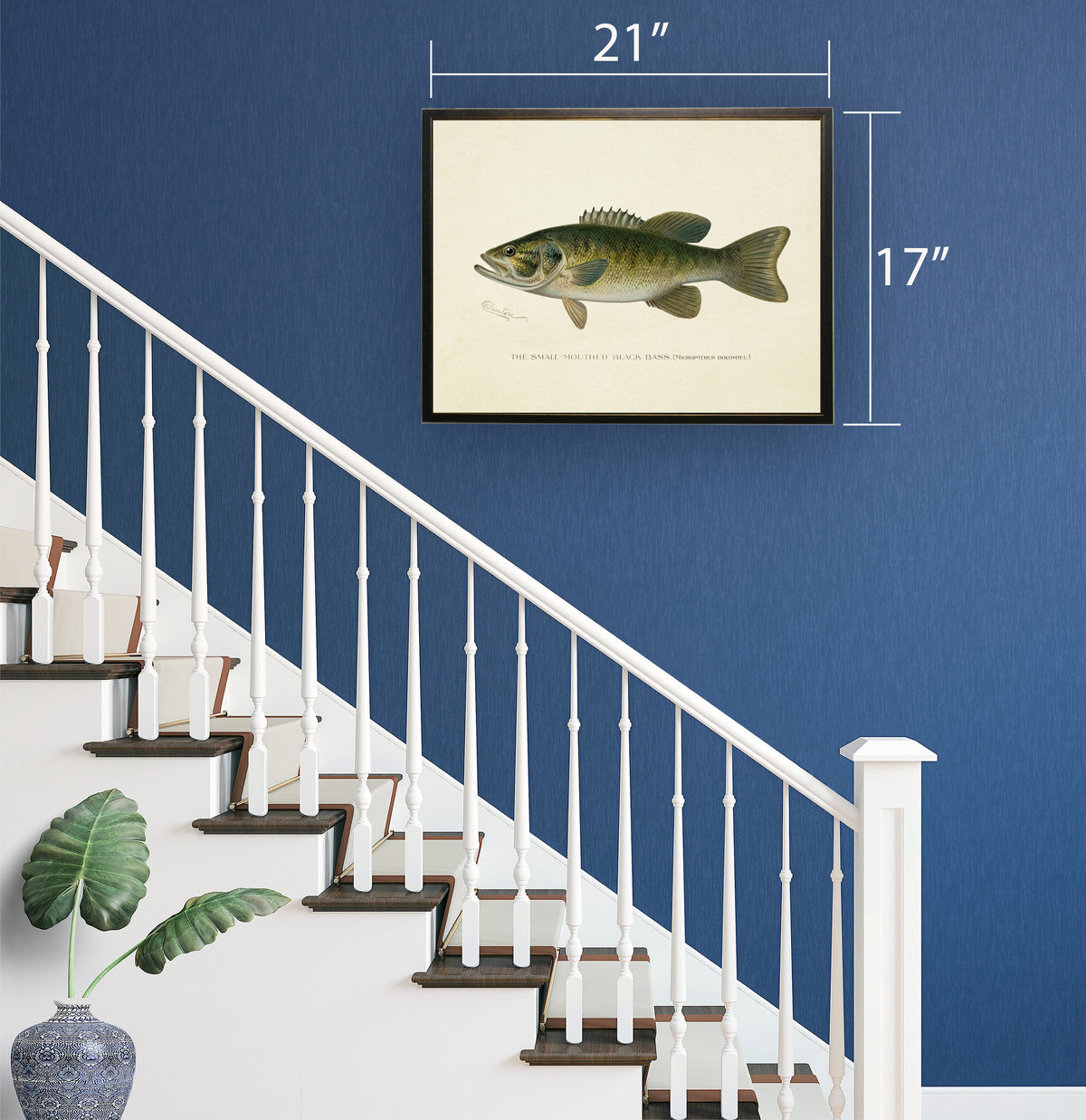 Small-Mouthed Black Bass Print in Copper and Black Frame