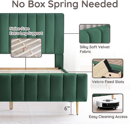 Livinia Queen Size Velvet Platform Bed in Green