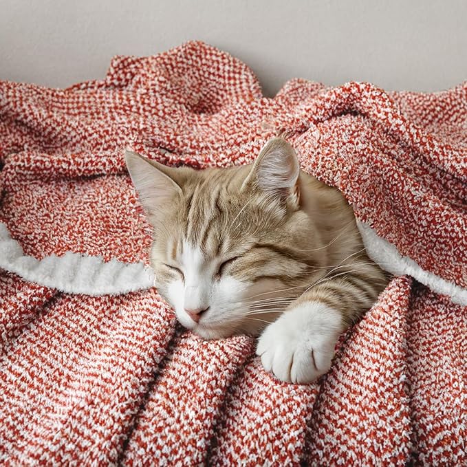 Fall Rust Super Soft Throw Blanket - 60 x 80 inch