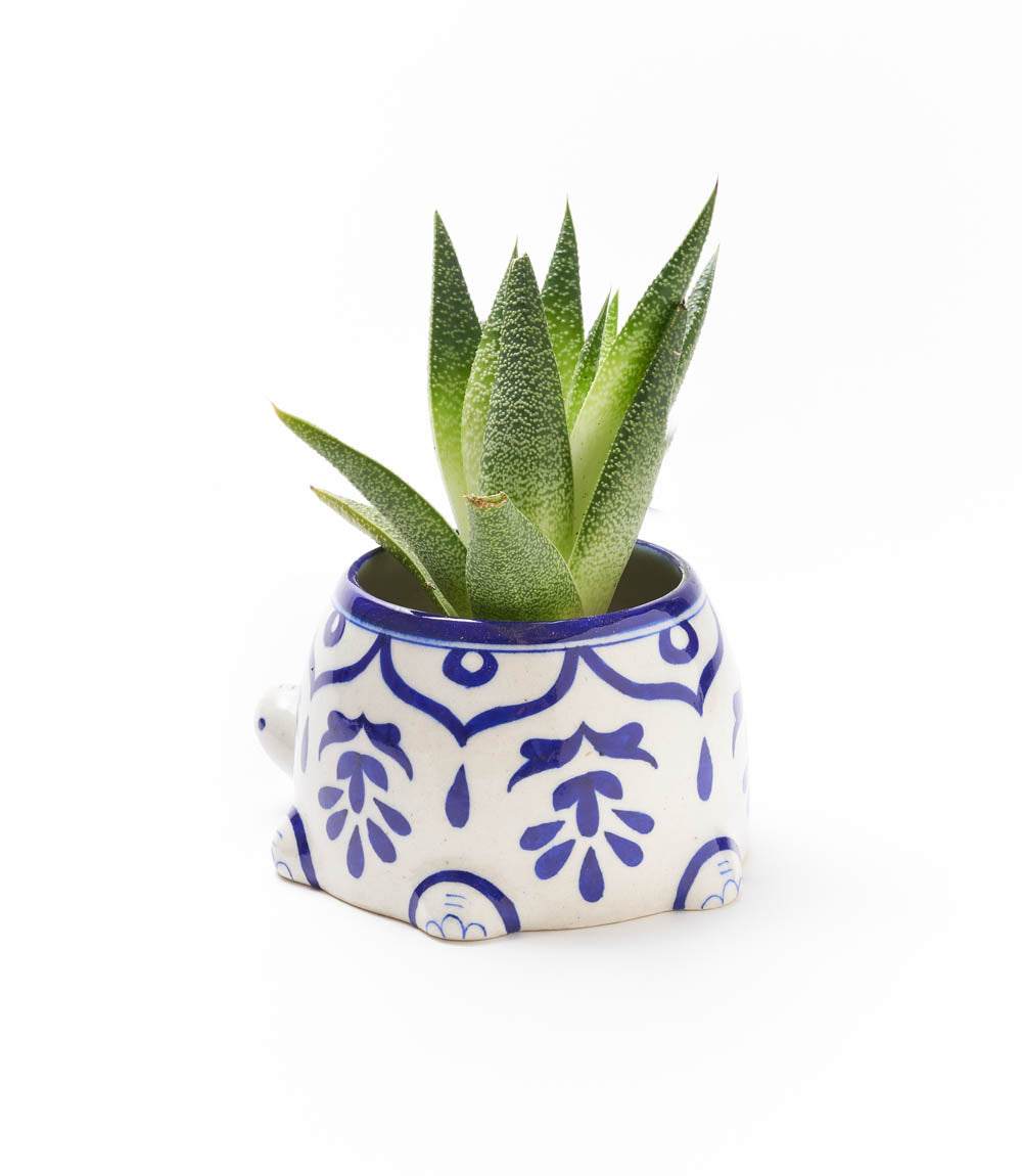 Lalita Mama Turtle Succulent Planter - White/Blue Hand Painted