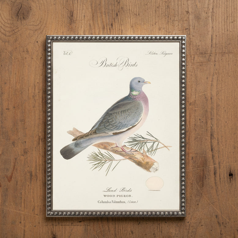Wood Pigeon in Silver-Beaded Frame - 24 x 18 inches