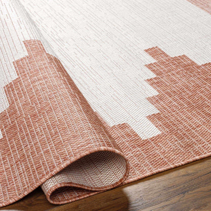 Djugun Peach Fuzz Indoor &amp; Outdoor Area Rug