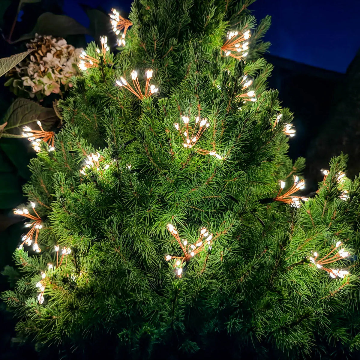 Starry Night String Lights - Solar