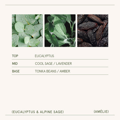 Amélie –  Eucalyptus &amp; Alpine Sage Candle