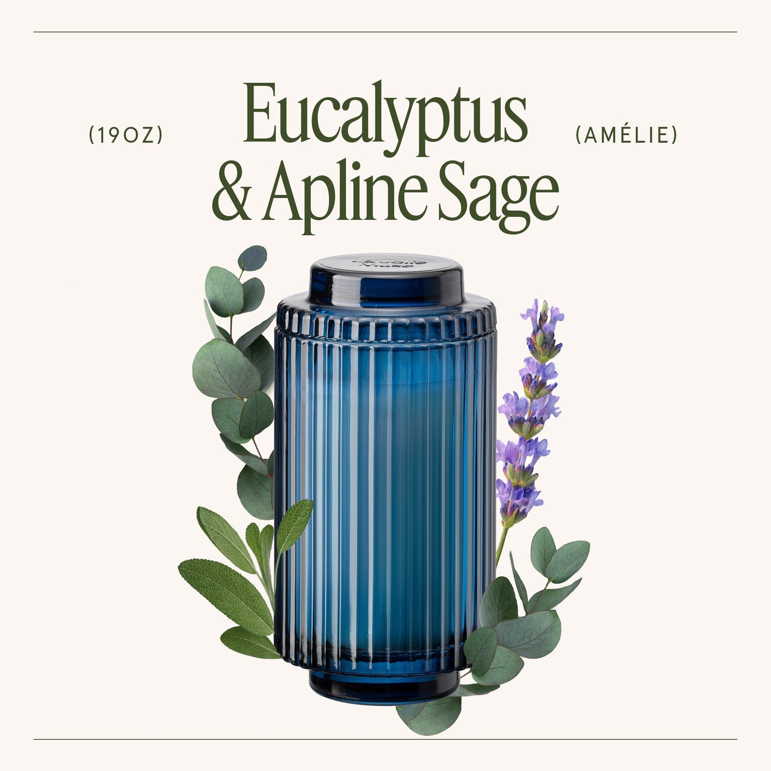 Amélie –  Eucalyptus &amp; Alpine Sage Candle