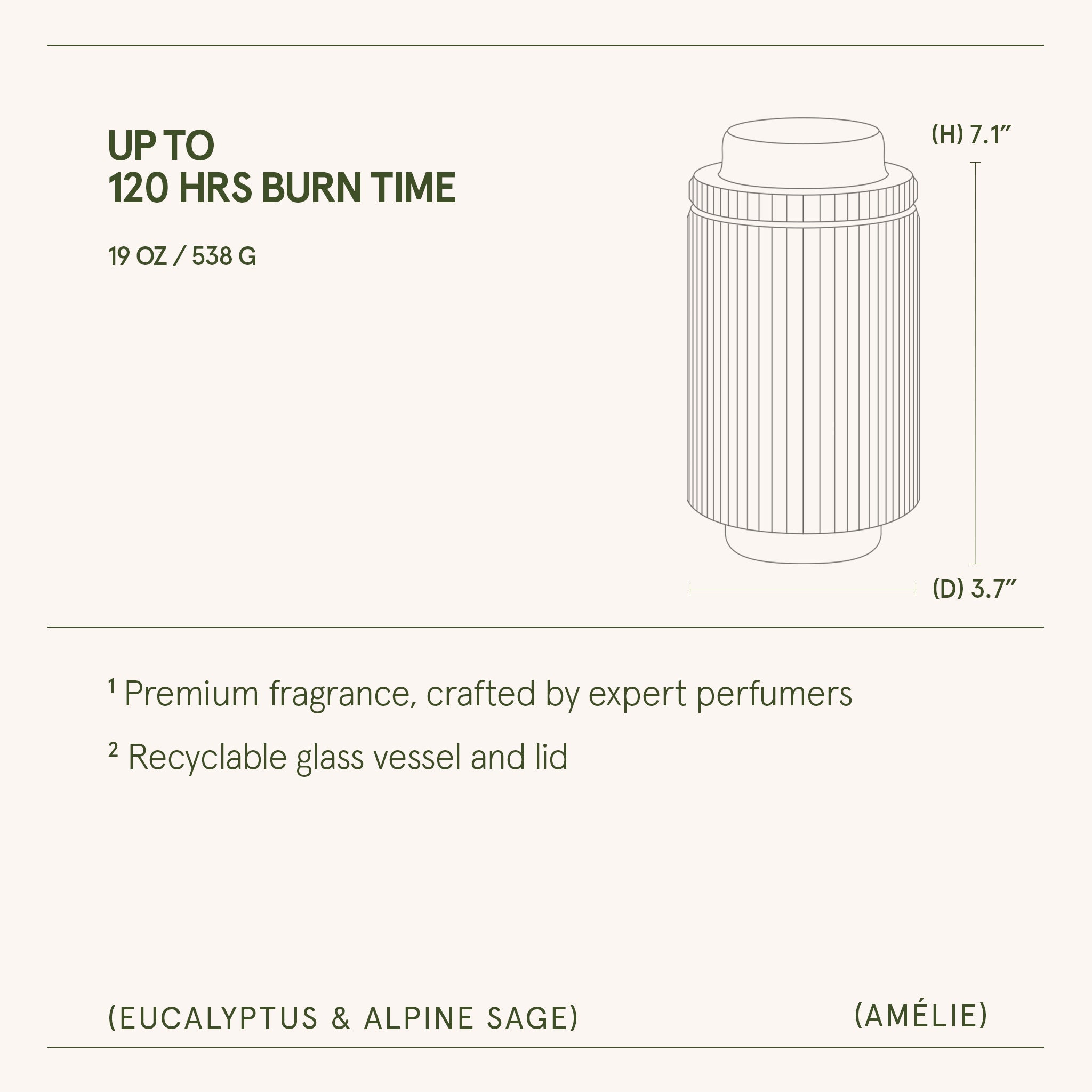 Amélie –  Eucalyptus &amp; Alpine Sage Candle