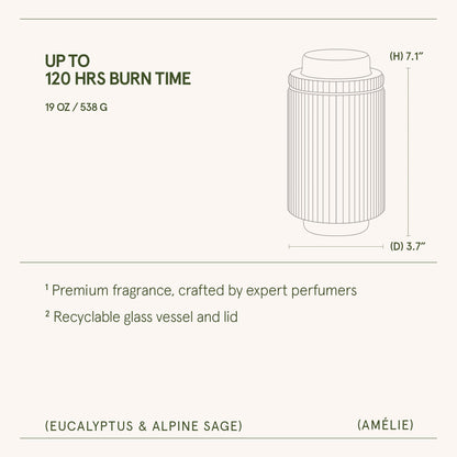 Amélie –  Eucalyptus &amp; Alpine Sage Candle